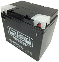 プロセレクトバッテリーオートバイ用12VバッテリーK100RS/RT、R100S/T/CS/RS/RT、R100GS、R80/7、R60、R607、R756
