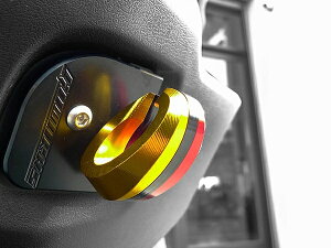 Go Works S[[NX RrjtbN KYMCO LR c[OtbN J[FVo[ / J[FTaiwan^France (u[^zCg^bh)