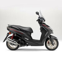 PRUNUSプラナスフルエキゾーストマフラーフリーフォームマフラーBWS125CYGNUS-XSR