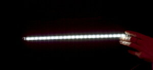 CUSTOM DYNAMICS JX^_Ci~bNX ANZgv TRUFLEXf 24 zCg/NAyLIGHT TRUFLEX 24WHT/CLR [2040-0937]z LEDdELEDhXAbvp[c Η dn