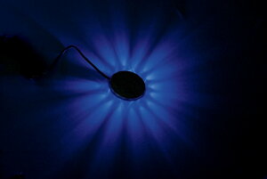 CUSTOM DYNAMICS JX^_Ci~bNX ANZgv STINGERfZ 15 N[ u[ yLIGHT STINGERZ CHR BLU [2040-1054]z LEDdELEDhXAbvp[c Η dn