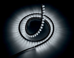 CUSTOM DYNAMICS JX^_Ci~bNX ANZgv STINGERfZ 99 zCg yLIGHT STINGERZ WHITE [2040-1209]z LEDdELEDhXAbvp[c Η dn