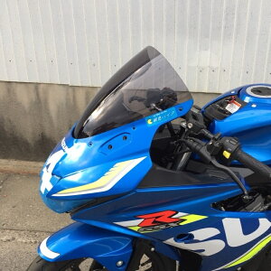 ACRY-Point �A�N���|�C���g �X�g���[�g�^�C�v�X�N���[�� GSX-R125 SUZUKI �X�Y�L �X�N���[�� �O��