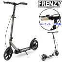 FRENZY キックボード FR205DB PLUS Titanium チタニウム ハンドブレーキ&フットブレーキ搭載 大人用 キックスクーター 【smtb-k...