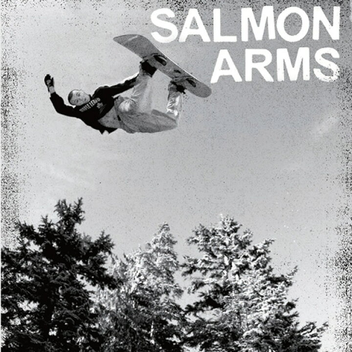 楽天市場】サーモンアームズ グローブ ミトン SALMON ARMS / TEAM MITT 
