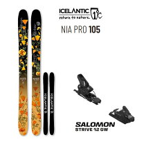 楽天市場】ロッカースキー SALOMONの通販