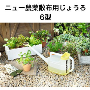 g{ _Uzp 傤 WE W[ g{傤 6^ O[ 6bg U  | K[fjO ƒ؉ _ wZ i 