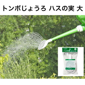 g{ 傤 nX̎  ͂̂ nX U  | K[fjO ƒ؉ _ wZ i 