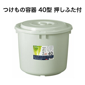 g{ ̗e 40^ O[ t^t 40bg  ۑ e { Hiq@K