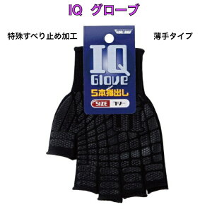 5{wo Ǝ R ׂ~  | _ DIY q O[u}jA 2229 쐼H