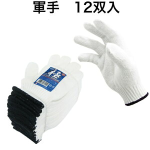 R 12o t[TCY Vm 8Q[W Ǝ Ɨp  R TCN #600 ~^jR[|[V