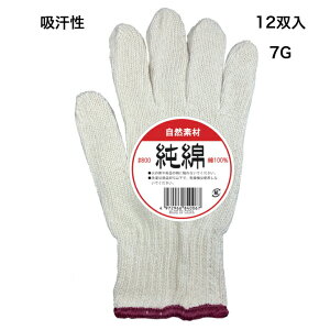 R Ǝ ȌR ȌR 7G ʋC z 12o t[TCY 800 