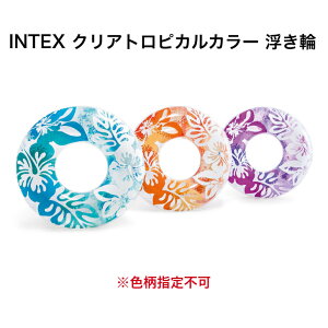 INTEX NAgsJJ[  91cm #59251   C v[ C V r[`