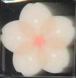 y[OKzTX^[@炳ށ@S4220200