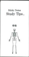 【メール便OK】松浦紙器 Sticky Notes Study Tips.骨格ふせん　FS-SST006