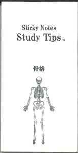 �y���[����OK�z���Y���� Sticky Notes Study Tips.���i�ӂ���@FS-SST006