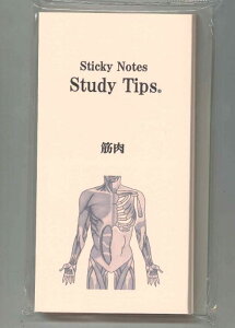 �y���[����OK�z���Y���� Sticky Notes Study Tips.�ؓ��ӂ���@FS-SST008