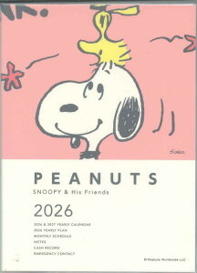 y[OKzz[}[N 2026 }X[_CA[A6@ YDD-845-704 Xk[s[R[ sN