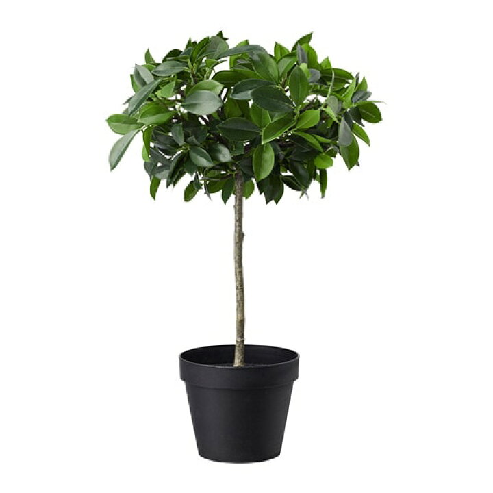 楽天市場】[IKEA/イケア/通販]FEJKA フェイカ 人工観葉植物, 室内/屋外 