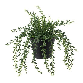 [IKEA/イケア/通販]FEJKA フェイカ 人工観葉植物, 室内/屋外用 グリーンネックレス[C](b)(40395325)