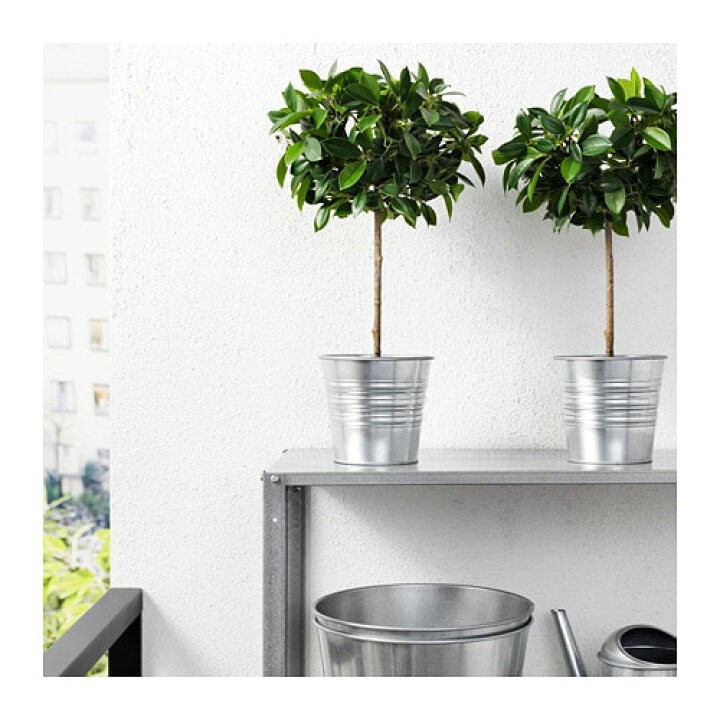 楽天市場】[IKEA/イケア/通販]FEJKA フェイカ 人工観葉植物, 室内/屋外 