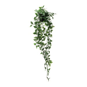 [IKEA/CPA/ʔ]FEJKA tFCJ lHϗtA, /Op/艺^[D](b)(40349545)