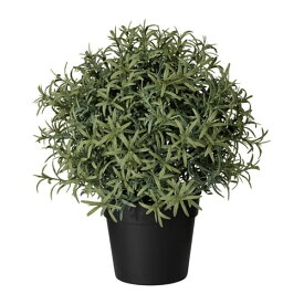 [IKEA/イケア/通販]FEJKA フェイカ 人工観葉植物, ローズマリー[B](b)(40382115)