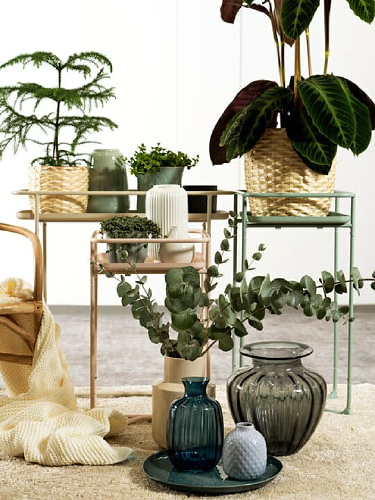 楽天市場 Ikea イケア 通販 Tons Auml Tta トンセッタ 花瓶 グレー C Webyセレクション 楽天市場店