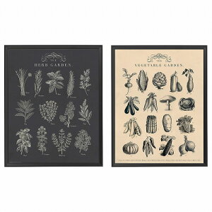 [IKEA/CPA/ʔ]KNOPPANG NmbyO t[ |X^[t, K[f[D](b)(20465772)