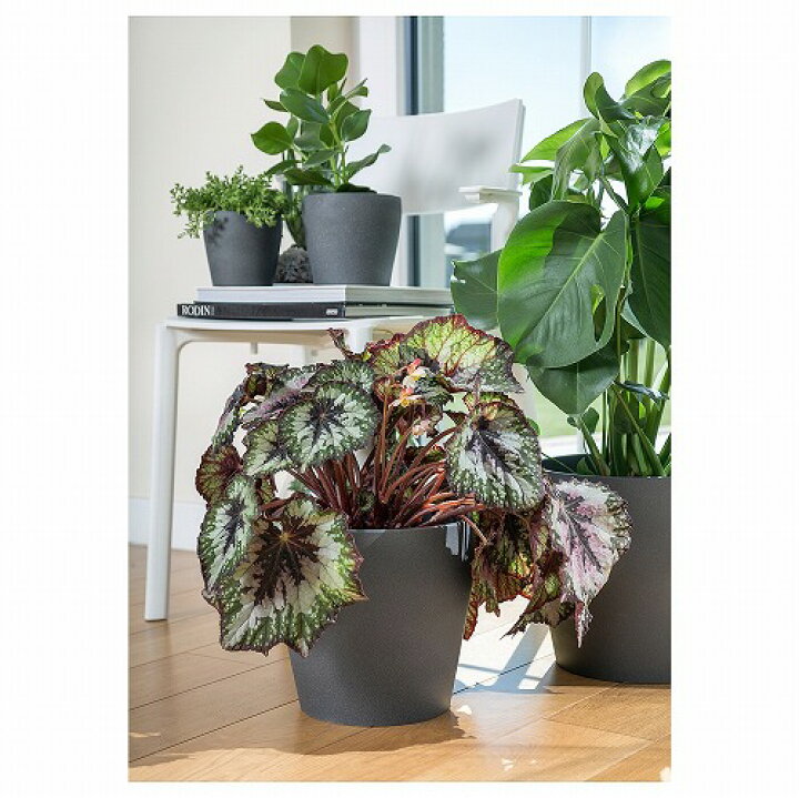 楽天市場 Ikea イケア 通販 Persillade ペルスィラデ 鉢カバー ダークグレー 24 Cm C Webyセレクション 楽天市場店