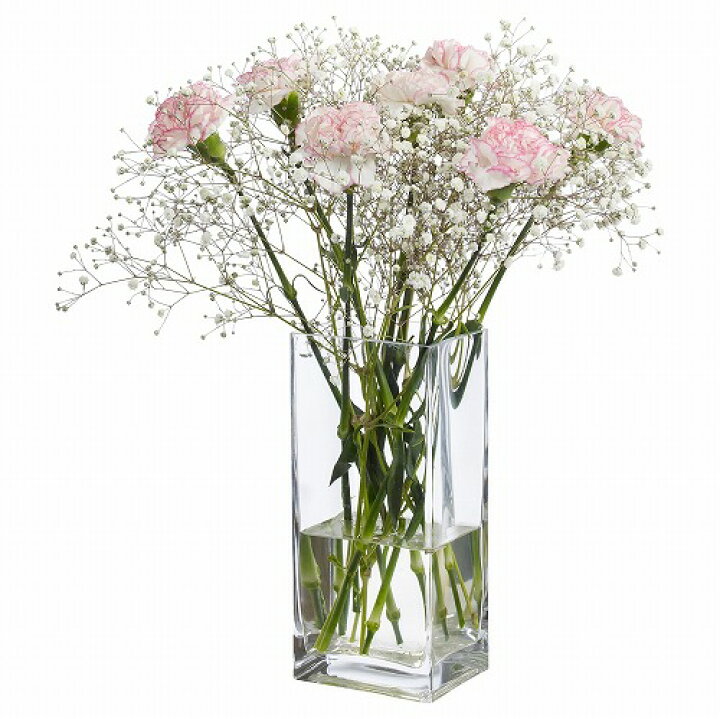 楽天市場 Ikea イケア 通販 Rektangel レクタンゲル 花瓶 クリアガラス 22 Cm A Webyセレクション 楽天市場店