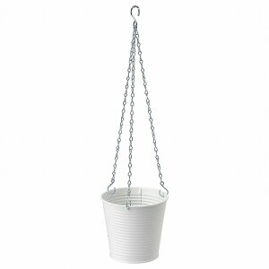 [IKEA/CPA/ʔ]CASHEWAPPLE JVEGbv nMOv^[, /Op zCg[A](c)(60468354)
