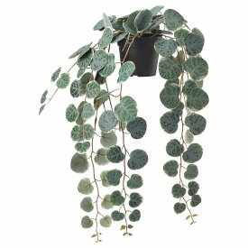 [IKEA/イケア/通販]FEJKA フェイカ 人工観葉植物, 室内/屋外用 つり下げ型/ハートカズラ[B](b)(70461125)
