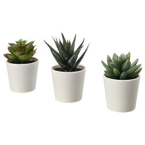 [IKEA/CPA/ʔ]FEJKA tFCJ lHϗtA Jo[t, /Op Succulent[A](b)(20519765)