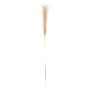 [IKEA/CPA/ʔ]SMYCKA X~bJ , Pampas grass[C](b)(40530677)
