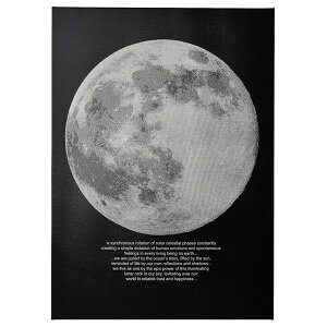 [IKEA/CPA/ʔ]PJATTERYD vBGbe[h A[g, [Cg[D](b)(30554503)