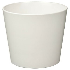 [IKEA/CPA/ʔ]SOJABONA \C{i Jo[, zCg[A](b)(90533579)