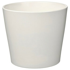 [IKEA/CPA/ʔ]SOJABONA \C{i Jo[, zCg[A](b)(60533590)