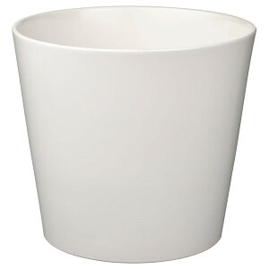 [IKEA/CPA/ʔ]SOJABONA \C{i Jo[, zCg[D](b)(10533583)