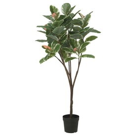 [IKEA/イケア/通販]FEJKA フェイカ 人工観葉植物, 室内/屋外用 Rubber plant[D](c)(40548314)