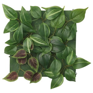 [IKEA/CPA/ʔ]FEJKA tFCJ A[gvg, ǎt^//Op O[/CbN[B](c)(30546570)