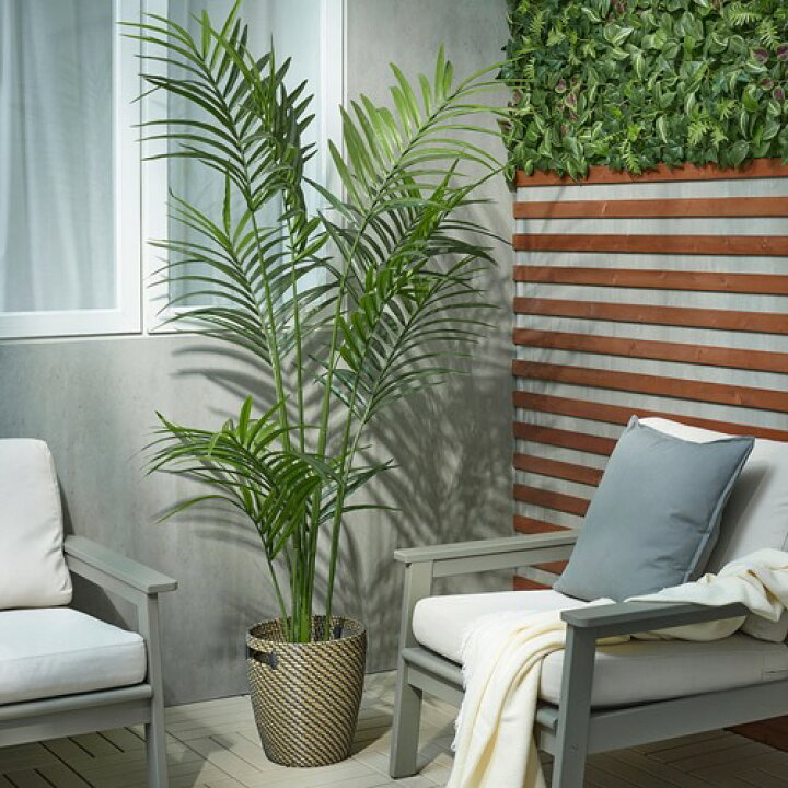 楽天市場】[IKEA/イケア/通販]FEJKA フェイカ 人工観葉植物, 室内/屋外 IKEA FEJKA フェイカ ケンチャヤシ 180cm フェイクグリーン 廃盤