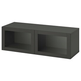 [IKEA/イケア/通販]BESTA ベストー シェルフユニット 扉付, ダークグレー/シンドヴィーク ダークグレー[5](a)(09555632)