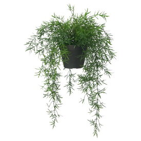 [IKEA/イケア/通販]FEJKA フェイカ 人工観葉植物, 室内/屋外用 アスパラガス/つり下げ型[A](e)(80571680)