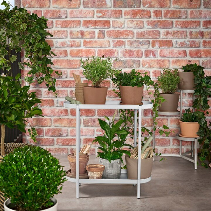楽天市場】[IKEA/イケア/通販]OLIVBLAD オリヴブラード プラント 