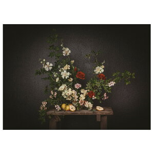 [IKEA/CPA/ʔ]PJATTERYD vBGbe[h A[g, ǂɑ΂[D](a)(70578903)