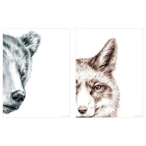 [IKEA/CPA/ʔ]BILD rh |X^[, N}&Lcl[B](a)(70583565)