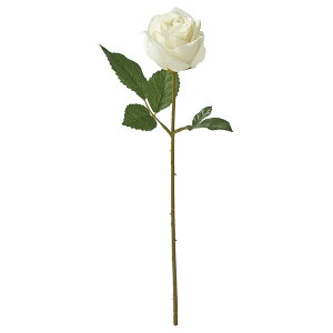 [IKEA/CPA/ʔ]SMYCKA X~bJ , /Op/o zCg[B](b)(40588753)