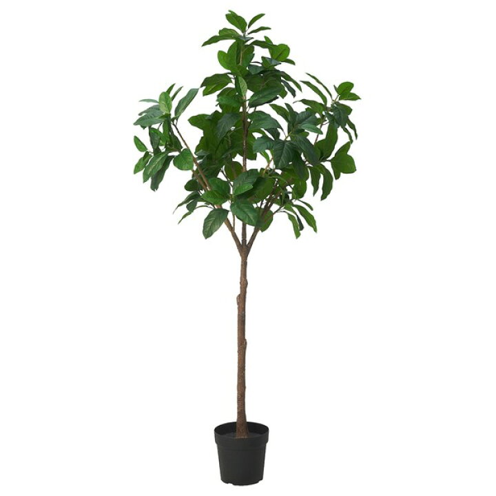 楽天市場】[IKEA/イケア/通販]FEJKA フェイカ 人工観葉植物, 室内/屋外 