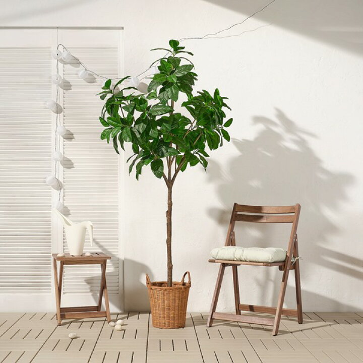楽天市場】[IKEA/イケア/通販]FEJKA フェイカ 人工観葉植物, 室内/屋外 